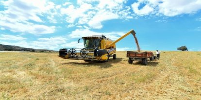 Bayburt’ta üreticiye yüzde 40 devlet katkılı yem desteği verilecek