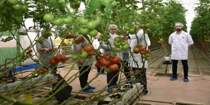 Modern sera yatırımları Salihli’de tarımı güçlendiriyor