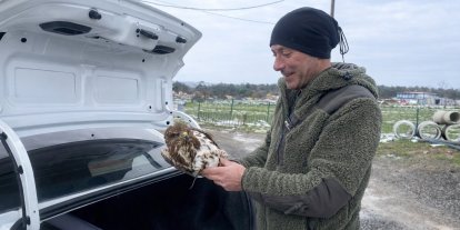 Yaralı şahin koruma altına alındı