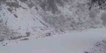 Yazın yanan orman sahası beyaza büründü