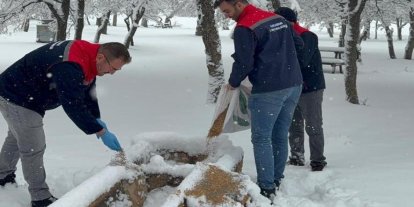 Karaman’da yaban hayvanları ve kuşlar için doğaya yem bırakıldı
