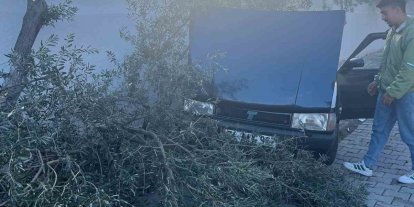 Süratli otomobil önce ağaca sonra duvara çarptı