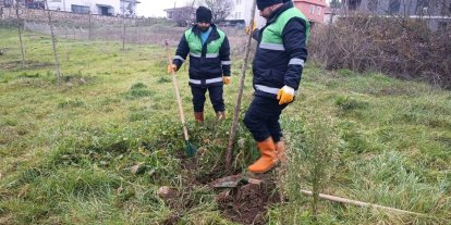 Başiskele’de yeşil alan çalışmaları devam ediyor