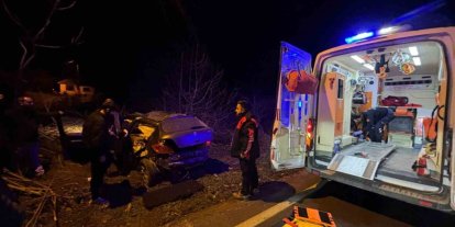 Kontrolden çıkan otomobil tarlaya girdi, sürücü yaralandı