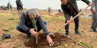 Zeytinli Mahallesi sıfır atık köyü olma yolunda ilerliyor