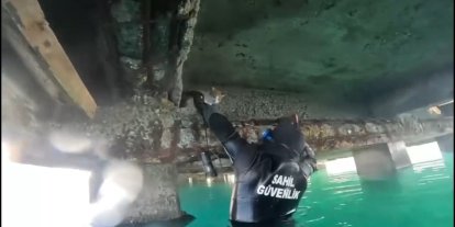 Mahsur kalan kedi için sahil güvenlik seferber oldu