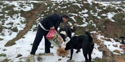 Uludağ’da aç kalan köpeklerin imdadına hayvanseverler yetişti