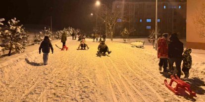 Demirözü’nde Kızak Festivali: Eksi 20 derecede halay çektiler, kızaklarla kaydılar