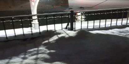 Bayburt’ta su samuru bu kez eşiyle birlikte görüntülendi