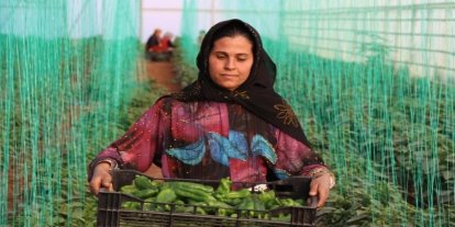 Tarım-GFE yıllık yüzde 34,24 arttı