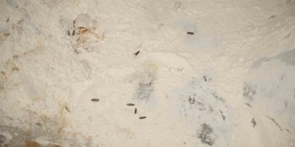 Yenişehir Belediyesi’nden YESAŞ’a hijyen cezası