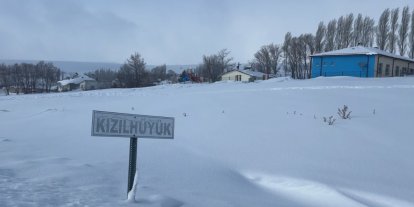 Köyün kâbusu olan kurtlar için araziye yiyecek bırakıldı