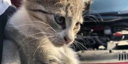 ‘Kontağı çevirmeden kaputa vurun’ uyarısı