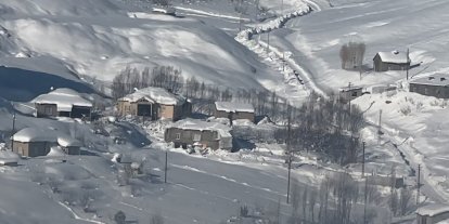 Yüksekova’da çiftçilere "kurt saldırısı" uyarısı