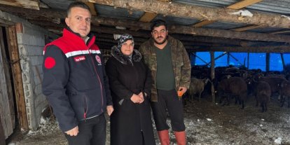 Bayburt’ta hayvancılığa yeni başlayan üreticilere destekler sürüyor