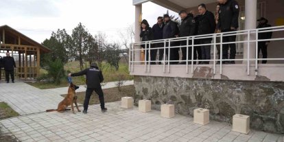 OMÜ’de yetiştirilen görev köpeği ’Pars’, Samsun Emniyeti’ne teslim edildi