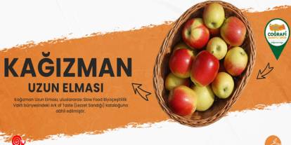 Kars’ın kadim elması uluslararası koruma altına alındı