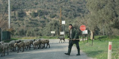 Havalar ısındı, sürüler doğaya salındı