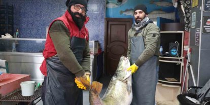 Elazığ’da yakalanan 78 kilogram ağırlığındaki turna balığını iki kişi zor taşıdı