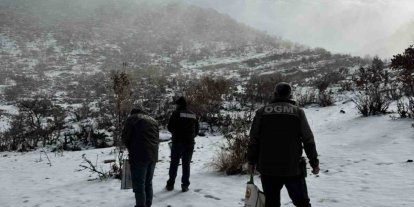 Dondurucu soğuklarda yaban hayata umut oldular