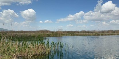Yağışlar Eber Gölü’ne can suyu oldu, kiraz üreticisinin yüzü güldü