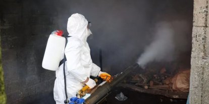 Ordu’da kahverengi kokarcaya karşı 300 binden fazla kışlak ilaçlanıyor