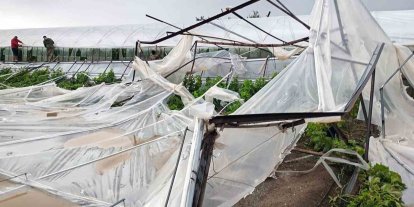 Seydikemer’de hortumun vurduğu seralarda hasar tespit çalışmaları başladı