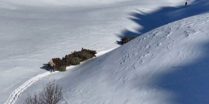 Bitlis’te hayvanlar için kızaklı yem mesaisi