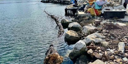 Marmara Denizi’nde feribot trafiği için tehlike oluşturan yüzen ağaç kıyıya çekildi