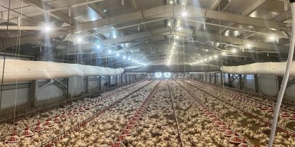 Kırsalda üretime 33,6 milyon liralık can suyu