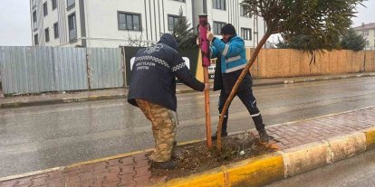 Yeşil alanlarda mevsimlik bakım ve güçlendirme seferberliği