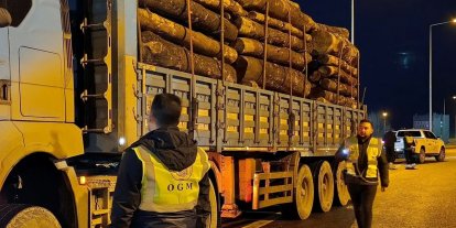 Orman denetimleri sürdürülüyor