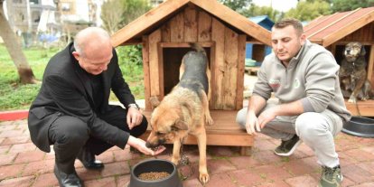 Hayırseverlerden 8 adet köpek ve 50 adet kedi kulübesi