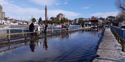 Kars’ta bahar havası: Güneşi gören kendisini dışarı attı