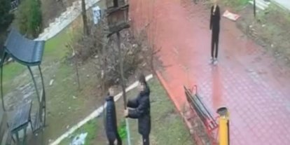 Adana’da parktaki kuş yuvasını parçaladılar