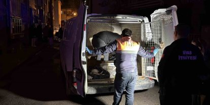 Sivas’ta 2 katlı evde çıkan yangında 26 kedi telef oldu