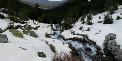 Eriyen kar ve yağmur suları su kaynaklarını coşturdu