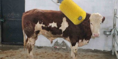 IPARD III ile Erzincan tarımına 178 milyon TL’lik yatırım desteği