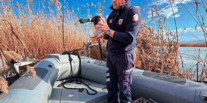 Uluabat Gölü’nde usulsüz avlananlara 431 bin TL ceza