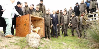 81 binden fazla göçmen kuş halkalandı