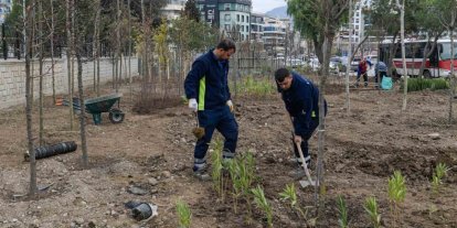 İzmir’de atıl alanlar mini ormana dönüşüyor
