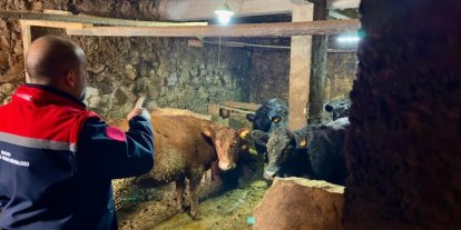 Aydıntepe’de Kırsalda Bereket Projesi ile üretimler devam ediyor