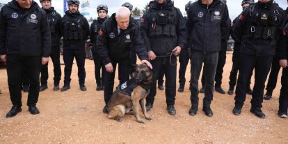 Bursa afetlere karşı dirençli hale geliyor