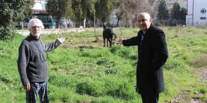 Sahipleri ölüme terk etti, resmi kurumlar topu birbirine attı