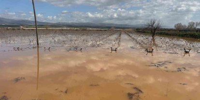 Manisa’da nehir taştı, mahsur kalan vatandaşlar traktörlerle kurtarıldı