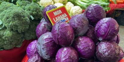 Pazarda tanesi 80 lira; çiftçiden 5 liradan almak istediler