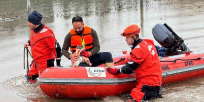 AFAD mahsur kalan hayvanları tahliye ediyor