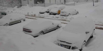 Bitlis’te 165 köy yolu kardan kapandı