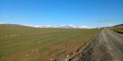 Kulp’ta yağışlar çiftçinin umudu arttı