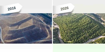 Maden sahaları rehabilitasyonla yeniden yeşeriyor